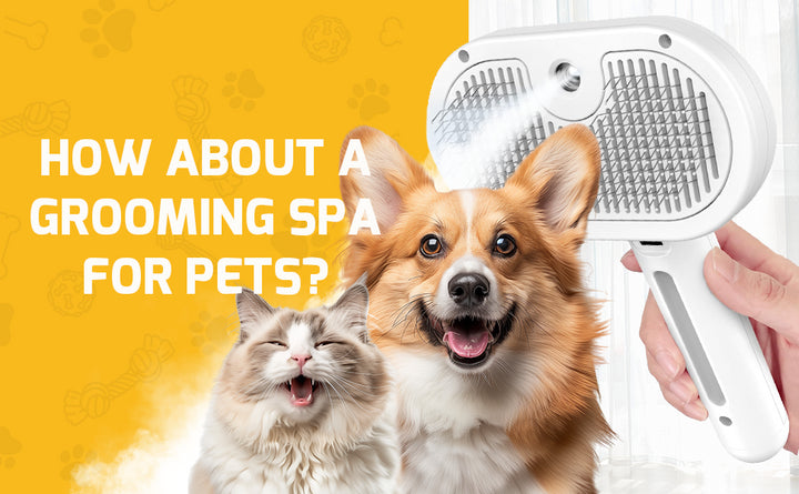 Steam Grooming Brush for Cats