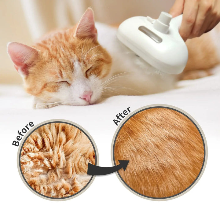 Steam Grooming Brush for Cats