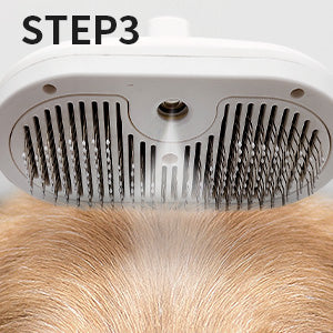 Steam Grooming Brush for Cats